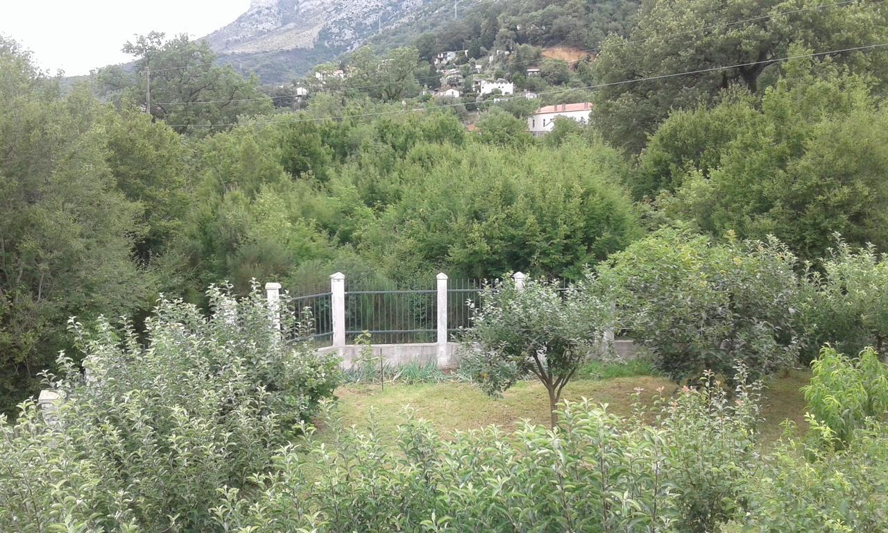 Danijela Apartmani Čanj Exterior foto